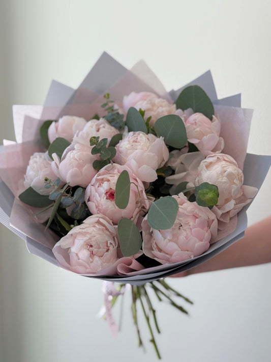 Blush Whisper Peonies