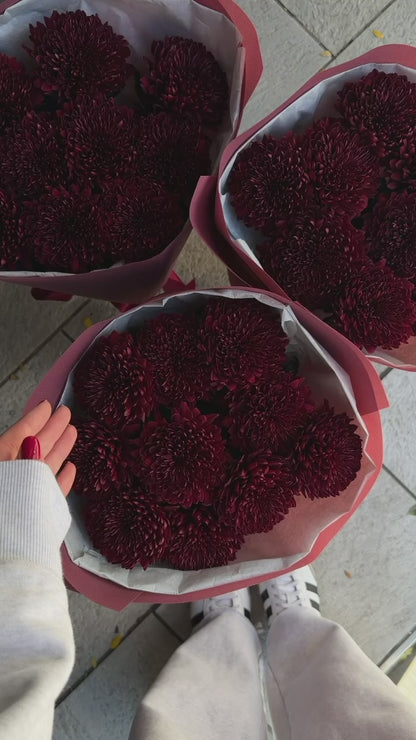 Velvet Burgundy